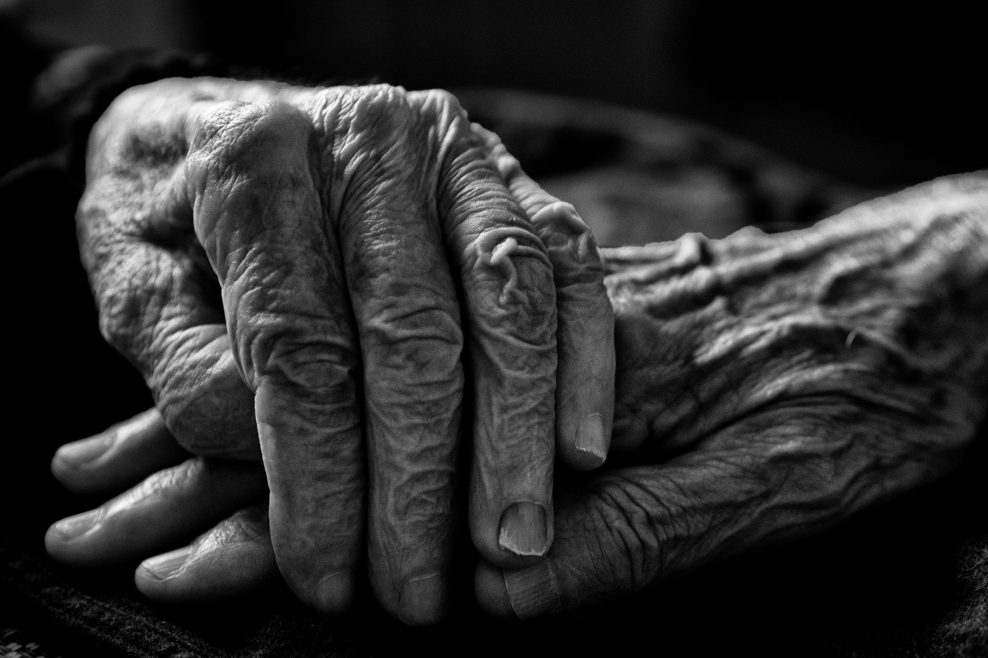 7 Steps Seniors Can Take When The Debt Collection Agency Knocks On The Door